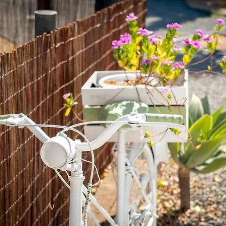 农家乐 Alfarrobeiras Nature