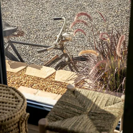 Alfarrobeiras Nature Feriegård