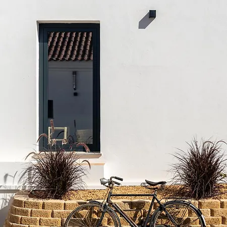 Alfarrobeiras Nature 奥良