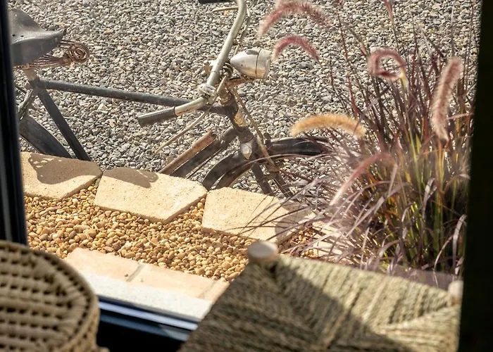 Alfarrobeiras Nature Lantgård