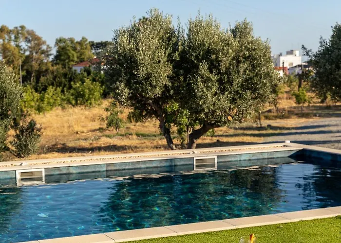 Alfarrobeiras Nature Lantgård Olhão