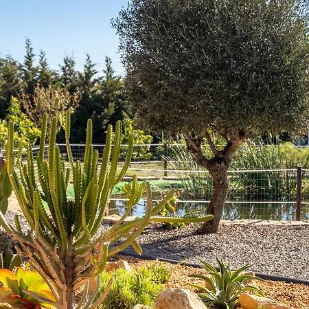 Alfarrobeiras Nature Farm stay Olhao